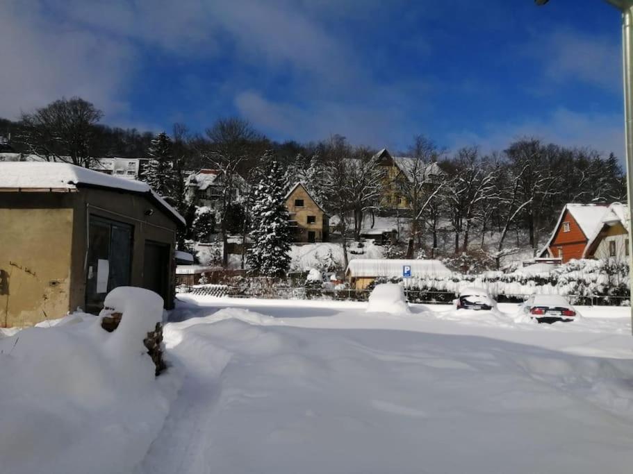 Guenstige, Schoene Ferienwohnung Im Wanderparadies Wernigerode Eksteriør billede